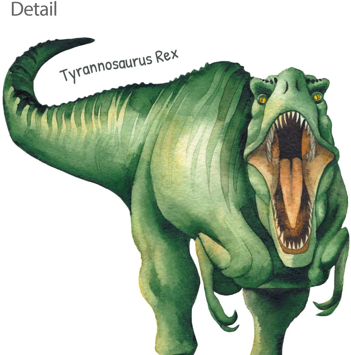Wallstickers barnerom Dinosaurer