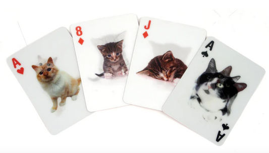 Kortstokk med 3D-bilder av katter