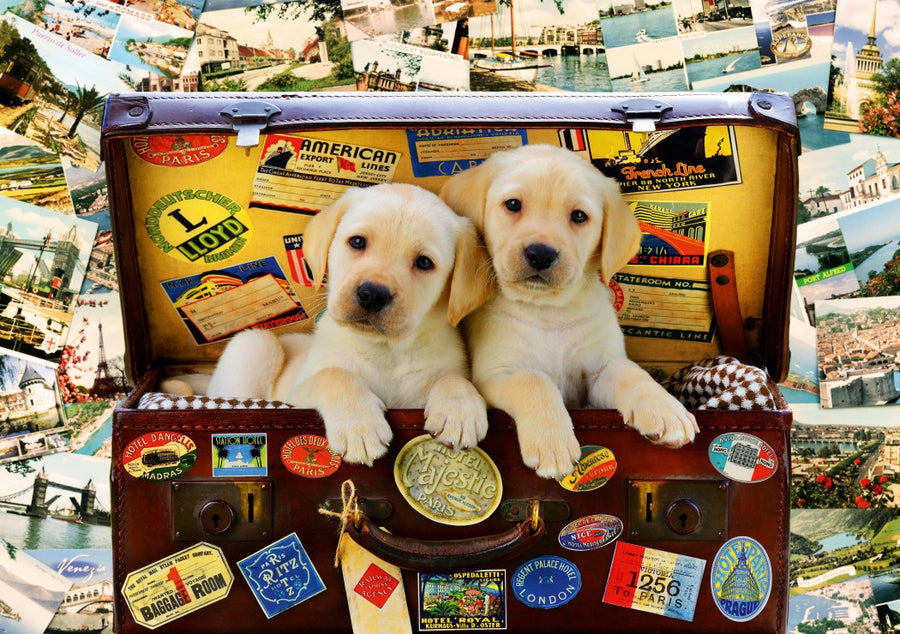 Bluebird puslespill: Two Travel Puppies 1000 brikker