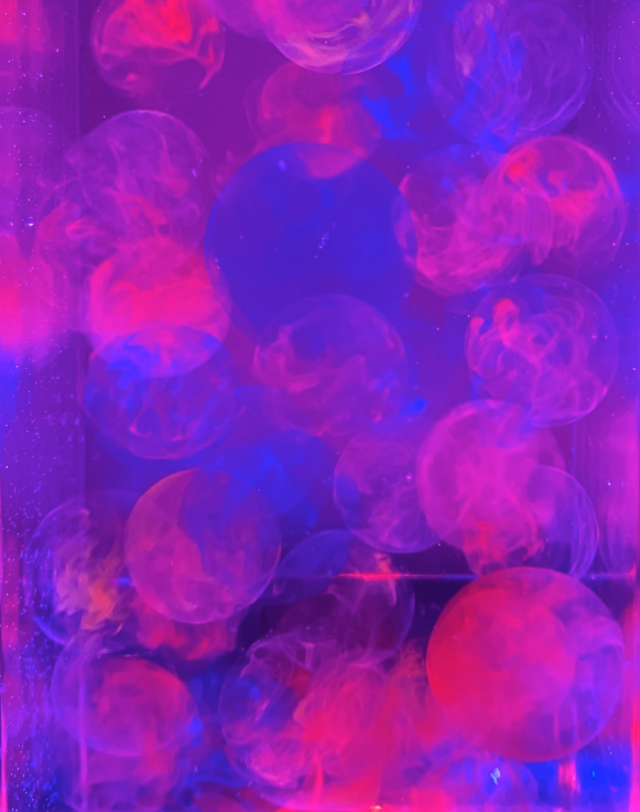 Mini Jelly Ball Tank - sensorisk stemningslampe
