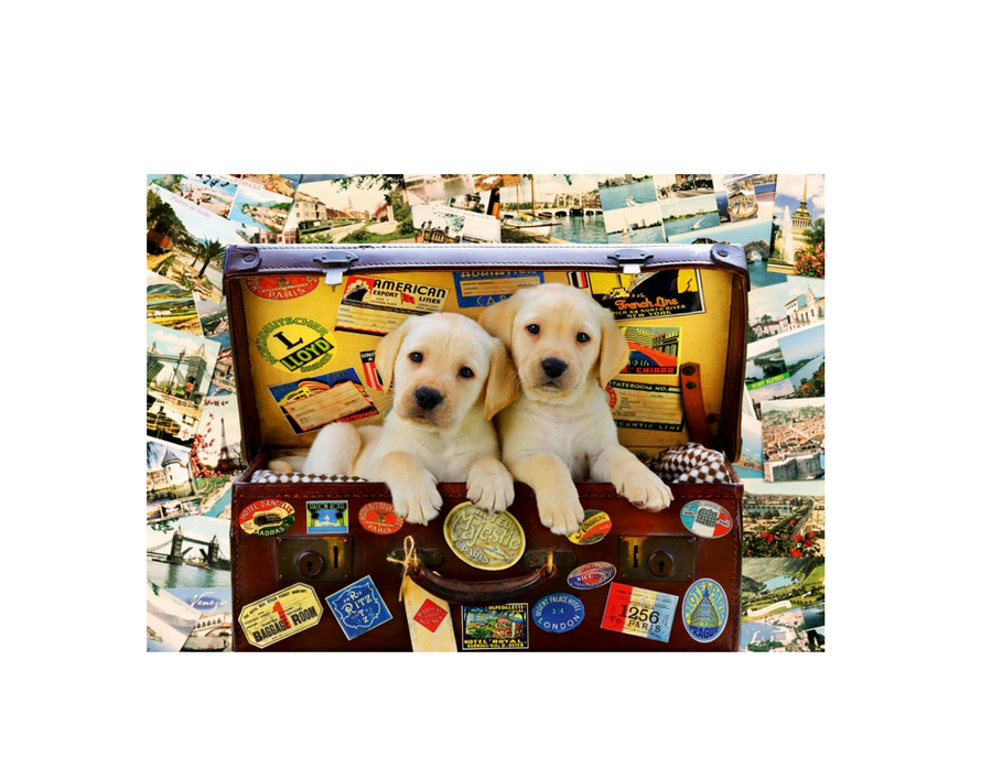 Bluebird puslespill: Two Travel Puppies 1000 brikker